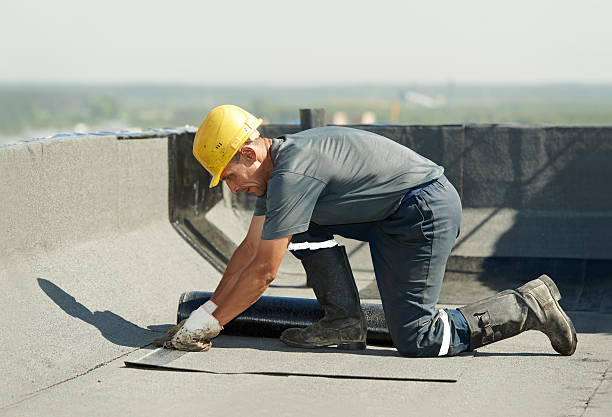 Best Insulation Installation Services in Pinetops, NC
